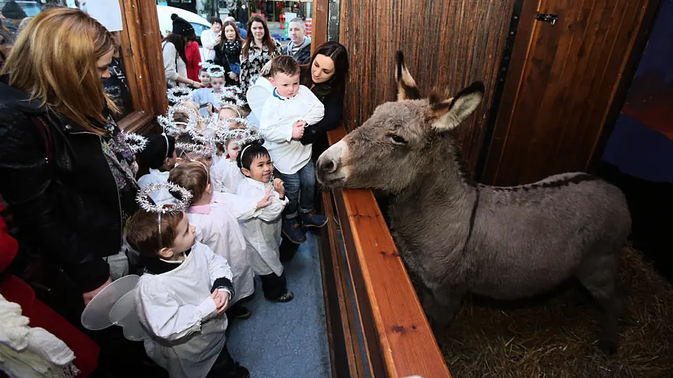 Call For Common Sense To Prevail In Row Over Live Animal Crib