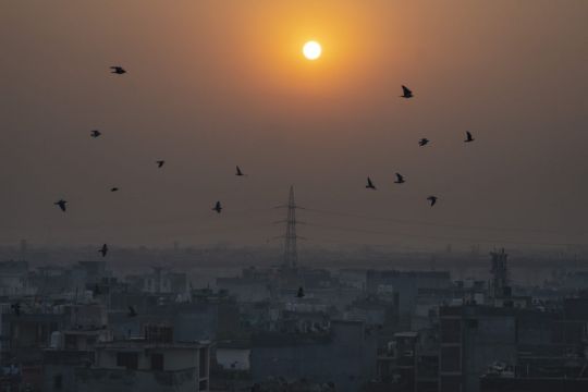 Indian Capital Battles Dangerous Levels Of Air Pollution