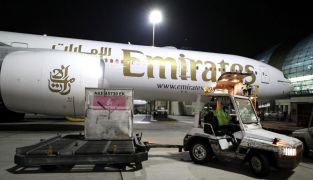 Emirates Airline Owner Reports Record-Breaking Profits