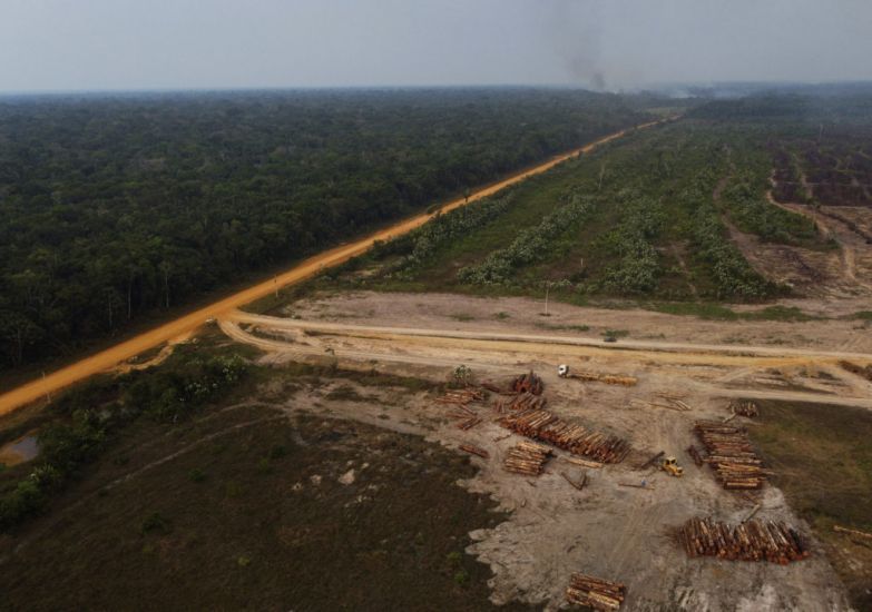 Brazilian President-Elect Pledges ‘Big Fight Against Deforestation’