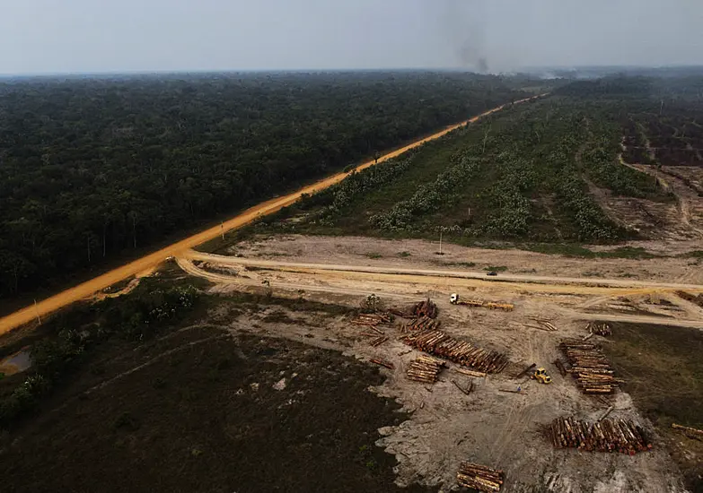 Brazilian President-Elect Pledges ‘Big Fight Against Deforestation’