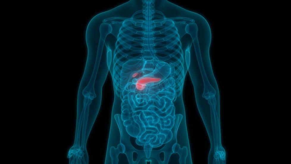 World Pancreatic Cancer Day: 14 Symptoms You’re Most Likely To Ignore