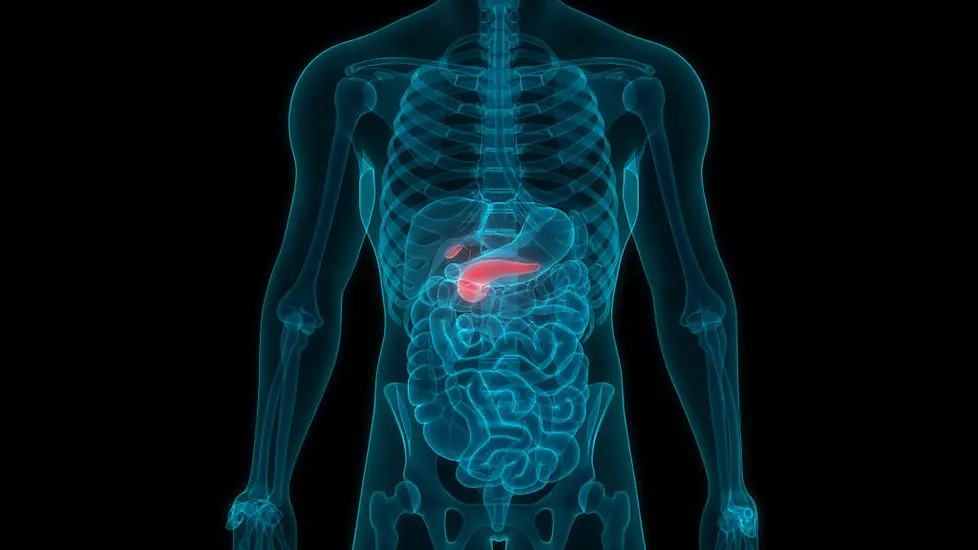 World Pancreatic Cancer Day: 14 Symptoms You’re Most Likely To Ignore