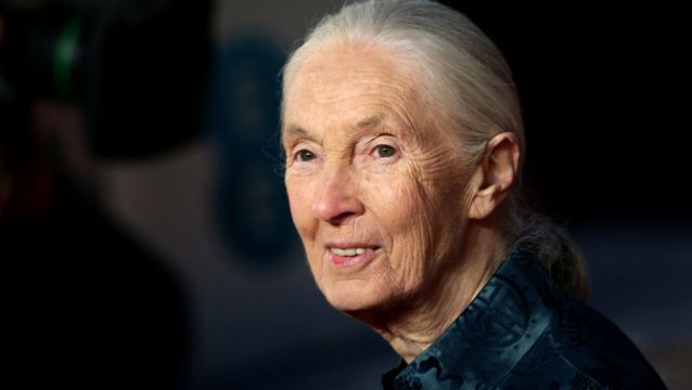 Renowned Conservationist Jane Goodall To Address Citizens' Assembly On Biodiversity Loss