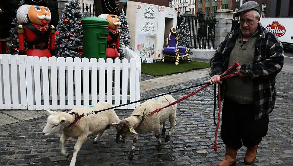 Live Animal Crib Makes Return At New Location In Dublin