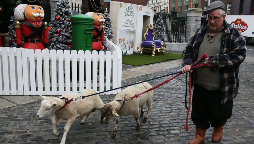 Live Animal Crib Makes Return At New Location In Dublin