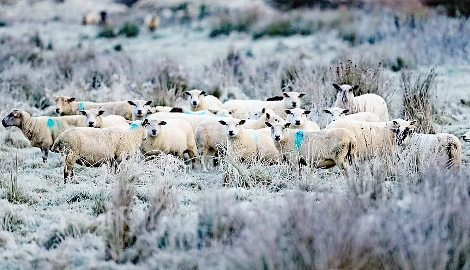 Arctic Blast To Hit Ireland This Weekend With Freezing Temperatures Forecast