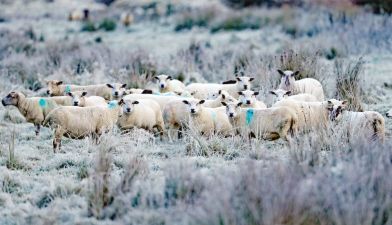 Snow Could Be On The Way As Temperatures Set To Drop Next Week