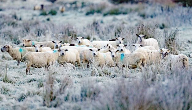 Frost And Ice On The Way As Cold Weather Advisory Issued