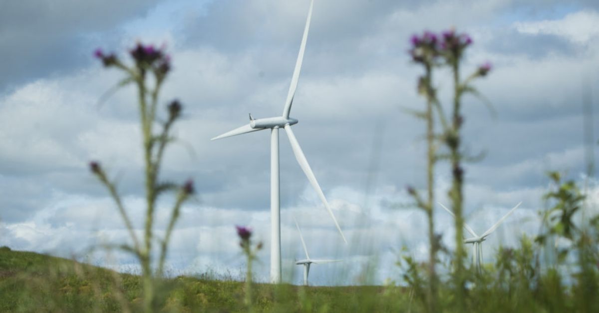 Вятърните паркове са доставили 35 от енергията на щата през