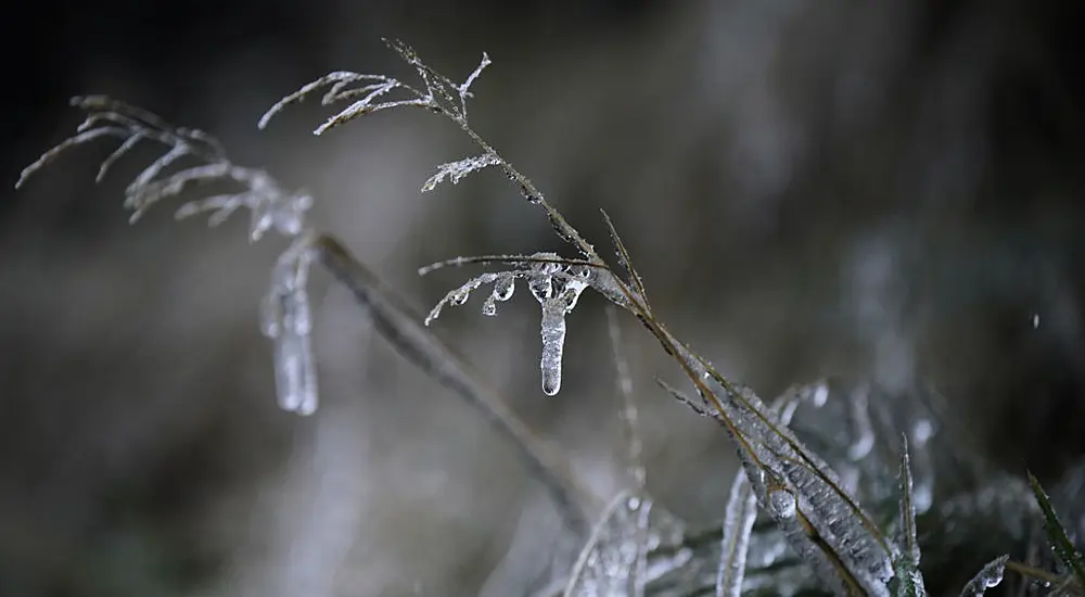 Emergency Group Meet To Discuss Current Cold Snap