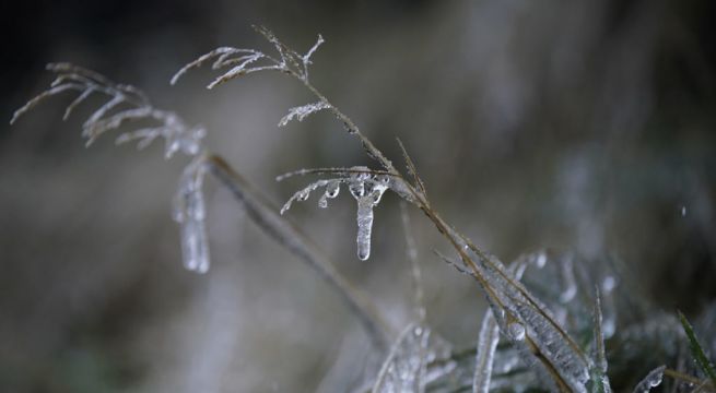 Emergency Group Meet To Discuss Current Cold Snap
