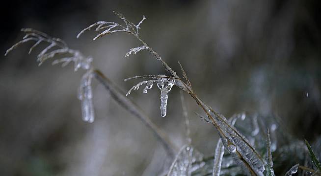 Emergency Group Meet To Discuss Current Cold Snap