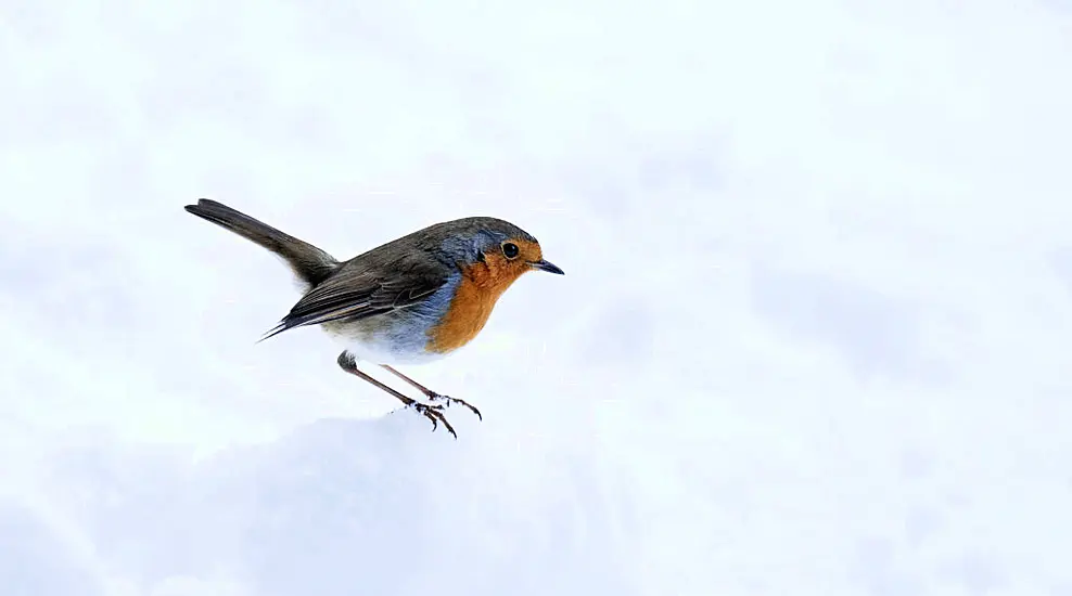 Wintry Showers Will Continue Late Into The Week, Says Met Éireann