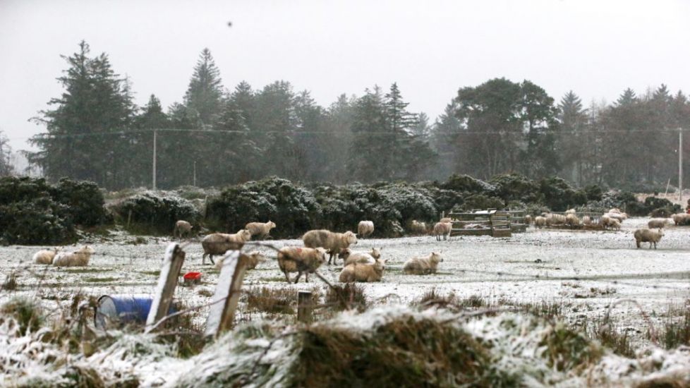 Ice Warning In Place Across Ireland After Coldest Day In 12 Years