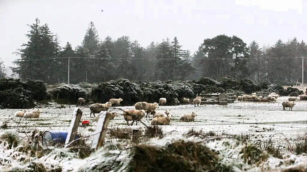 Ice Warning In Place Across Ireland After Coldest Day In 12 Years