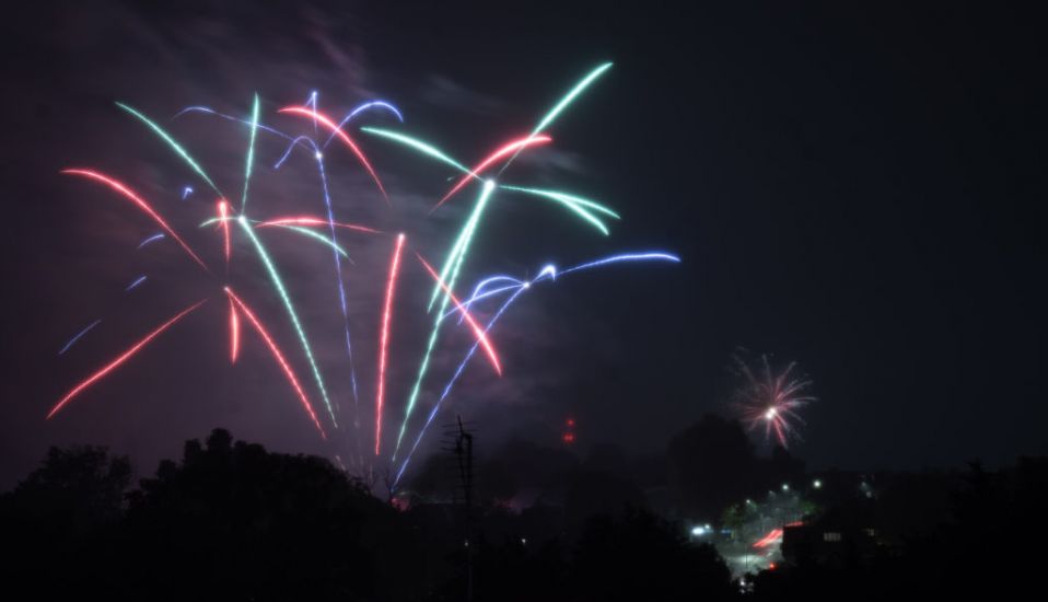 Dublin Councillors Propose Restricting Fireworks To Protect Wildlife