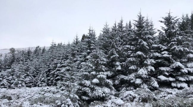 Cold Weather Continues Into The Weekend As Met Éireann Issues Yellow Warning