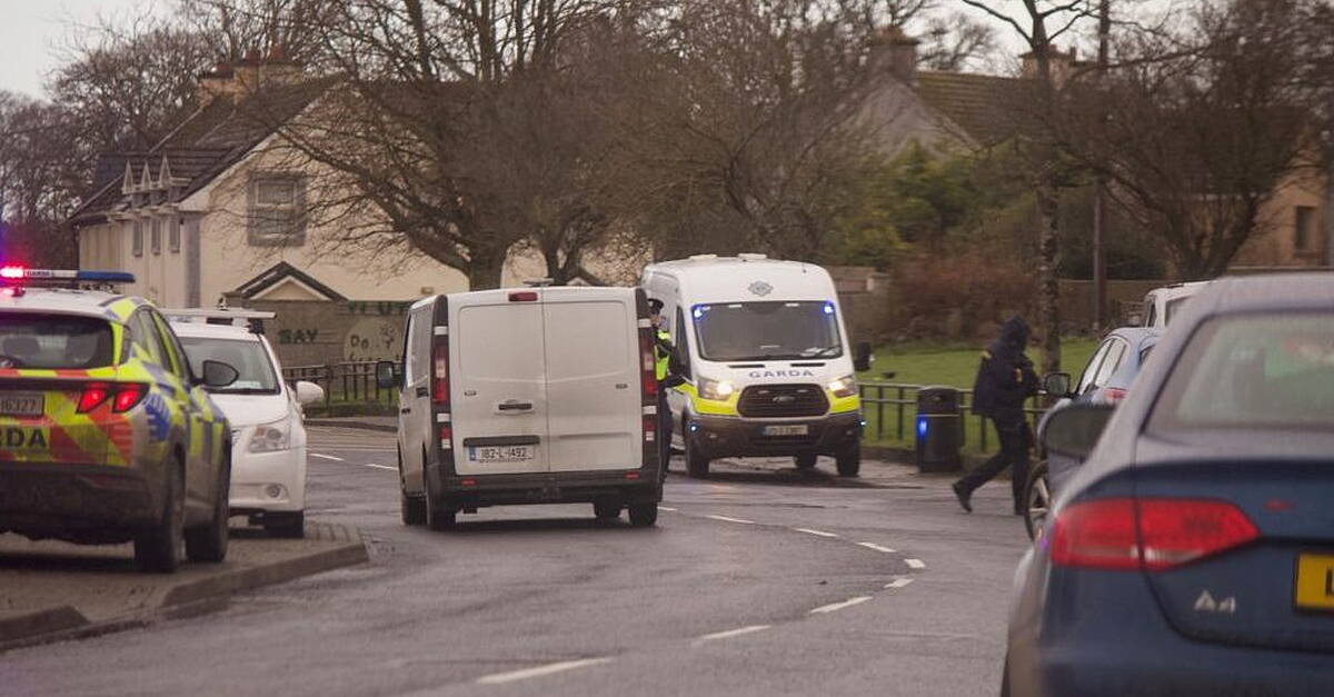 Guards Rathkeale Minister for Justice pledges additional garda resources on visiting ...