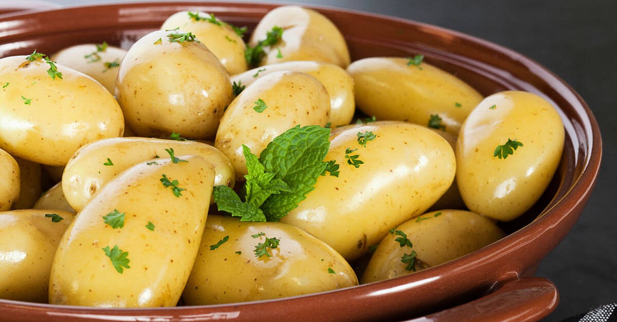 a-beginner-s-guide-to-growing-potatoes