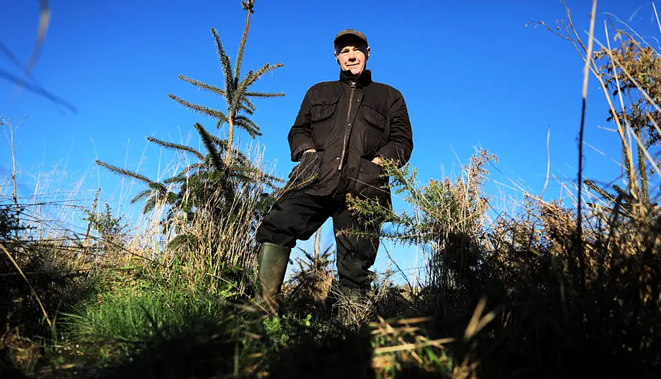 Pensioner Hailed As Eco-Champion After Planting 20,000 Trees On Disused Land