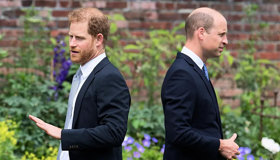 Prince Harry Saw ‘The Red Mist’ In His Brother During Alleged Physical Confrontation