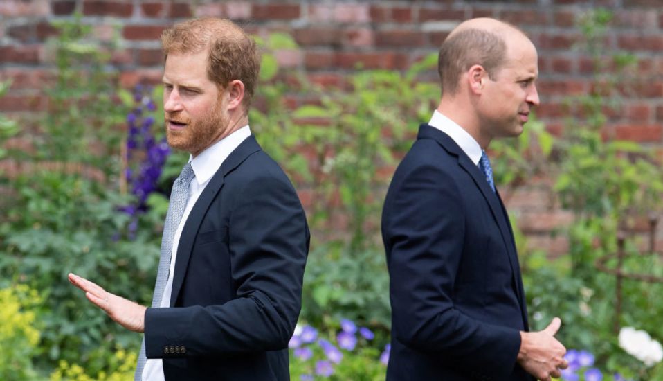 Prince Harry Saw ‘The Red Mist’ In His Brother During Alleged Physical Confrontation