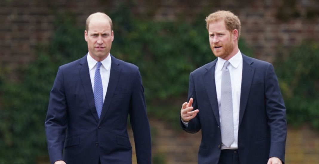 Harry Left With ‘Bruises’ After William’s Alleged Assault: How To Deal With Severe Sibling Conflict
