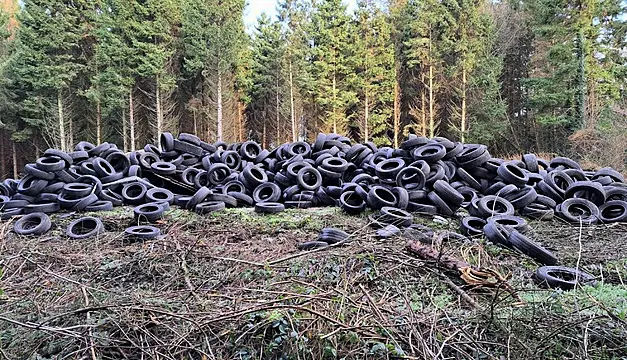 Thousands Of Tyres Dumped On Forest Land In Co Meath