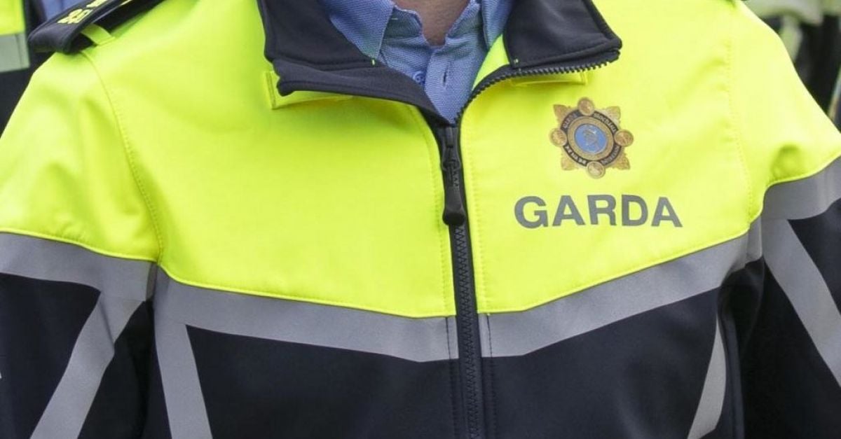 Two men arrested as gardaí seize firearm, cocaine worth €7,000