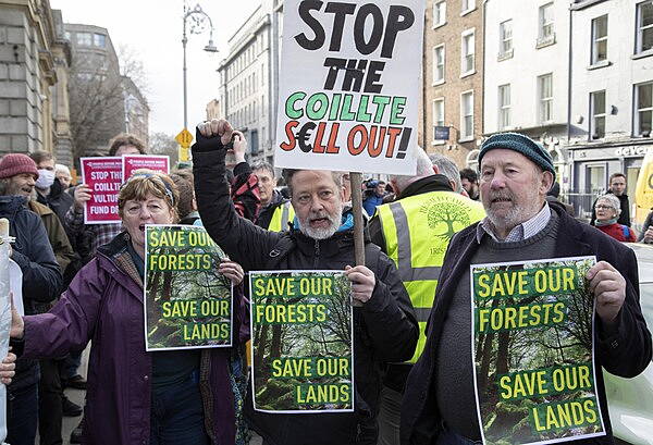 Laois Nationalist — Hundreds protest outside Leinster House over controversial Coillte deal - Vimarsana News