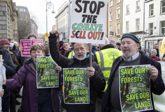 Hundreds Protest Outside Leinster House Over Controversial Coillte Deal