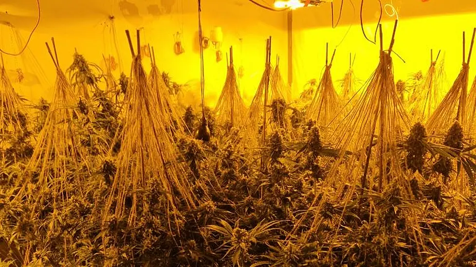 Man Charged Over €1.36M Worth Of Cannabis Found In Orange Shipment