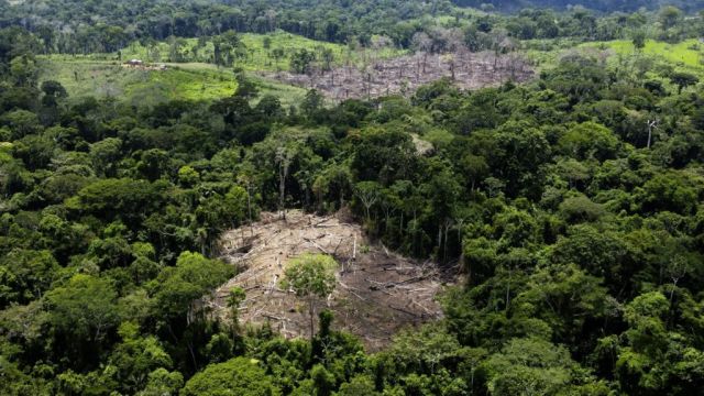 Germany Pledges €200M To Help Preserve Brazil’s Rainforest