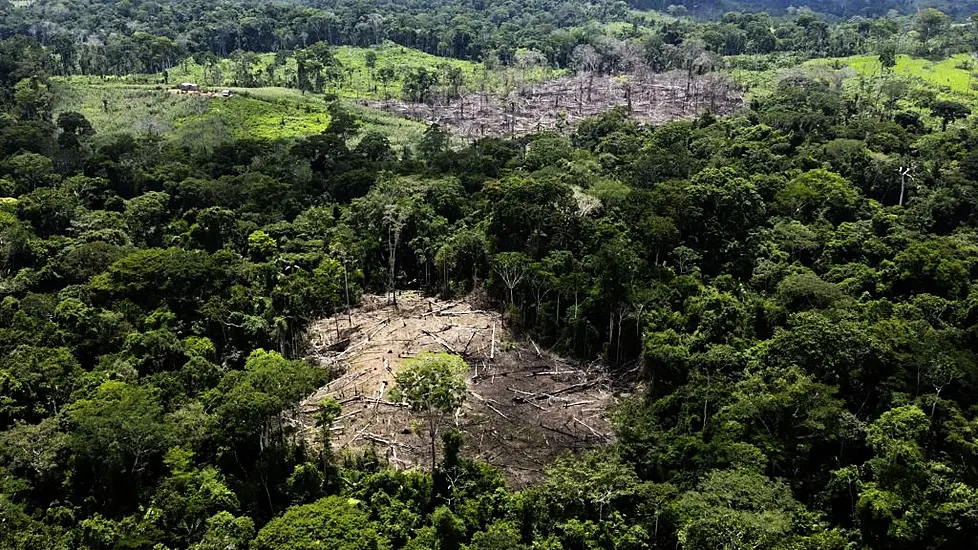 Germany Pledges €200M To Help Preserve Brazil’s Rainforest