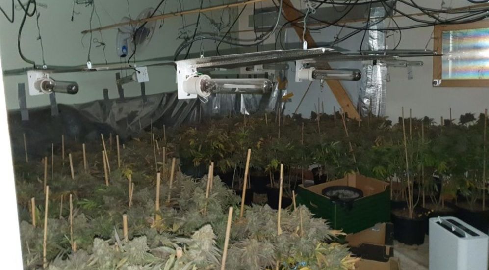 More Than €500,000 Worth Of Cannabis Seized In Suspected ‘Grow-House’