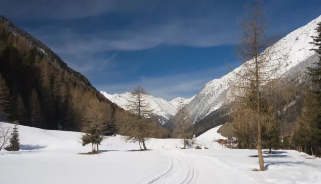 Avalanches Kill Nine In Italy And Austria As Heavy Snow Hits Alps