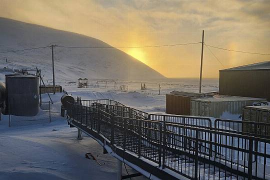 Polar Bear That Killed Mother And Baby Son In Alaska Was In Poor Health