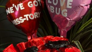 Bray Sea Life Launches 'Name A Cockroach After Your Ex' Fundraiser For Valentine's Day