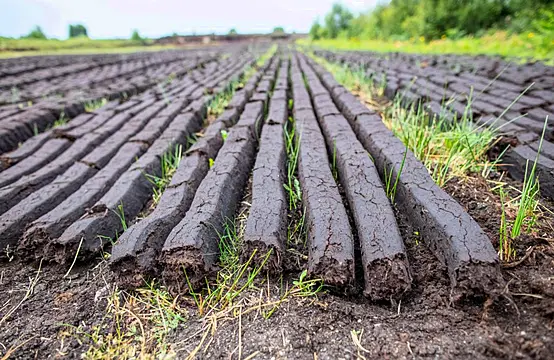 Ireland Will Take Bog Conservation ‘Massively Seriously’, Says Mcconalogue