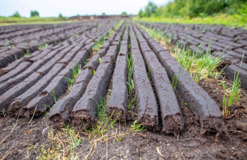 Ireland Will Take Bog Conservation ‘Massively Seriously’, Says Mcconalogue