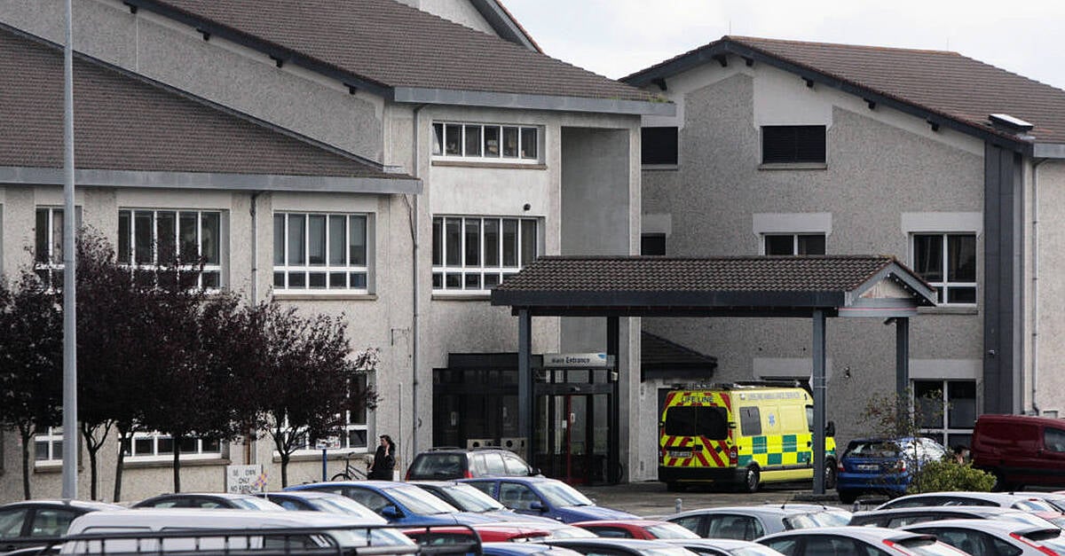 Woman injured in XL Bully dog attack in Wexford