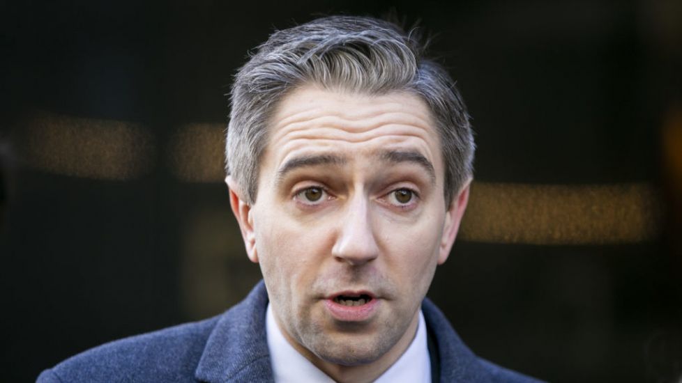Simon Harris Backs Calls To Review Plans For Domestic Violence Leave