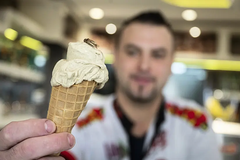 German Ice Cream Parlour Sells Cricket-Flavoured Ice Cream With Insects On Top