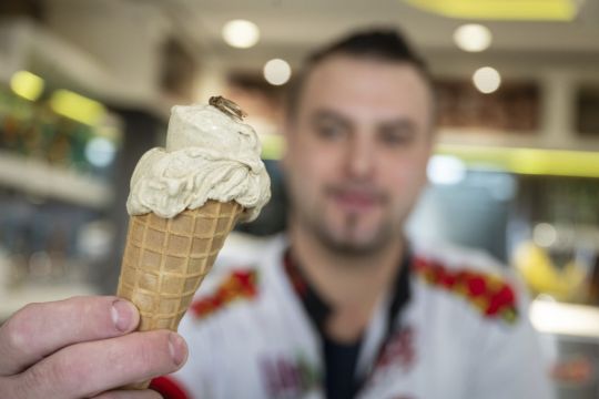 German Ice Cream Parlour Sells Cricket-Flavoured Ice Cream With Insects On Top