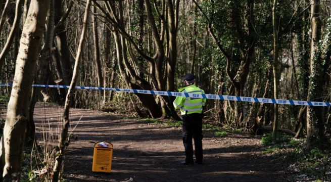 Baby Found In Woodland ‘May Have Been Dead For Some Time’, Police Say