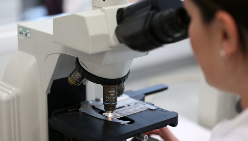 Scientists ‘Identify Genetic Variants Linked To Human Fertility’