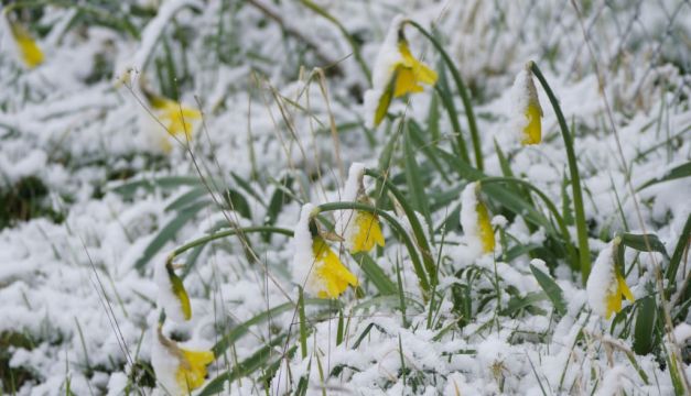 Snow And Sleet Warnings As Met Éireann Issues 'Uncertain' Forecast