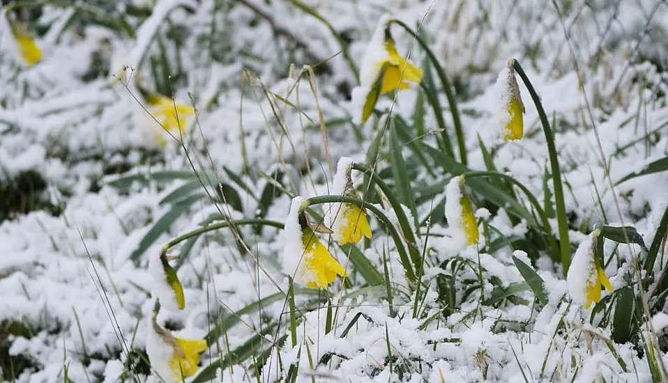 Snow And Sleet Warnings As Met Éireann Issues 'Uncertain' Forecast