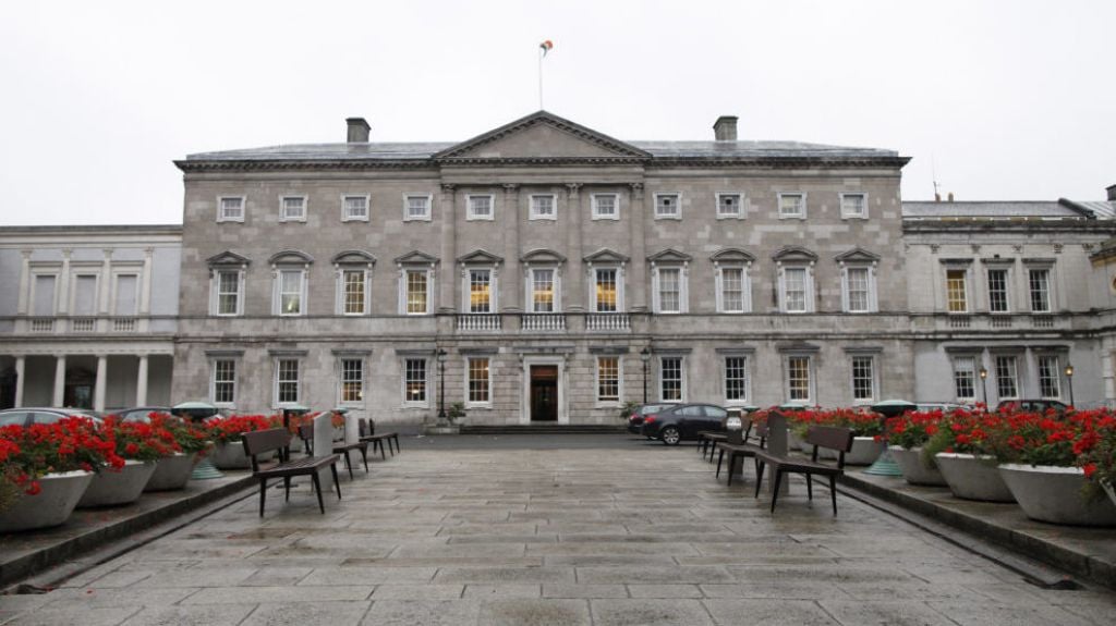 Government TD calls for review of 'anomaly' around travel and accommodation expenses